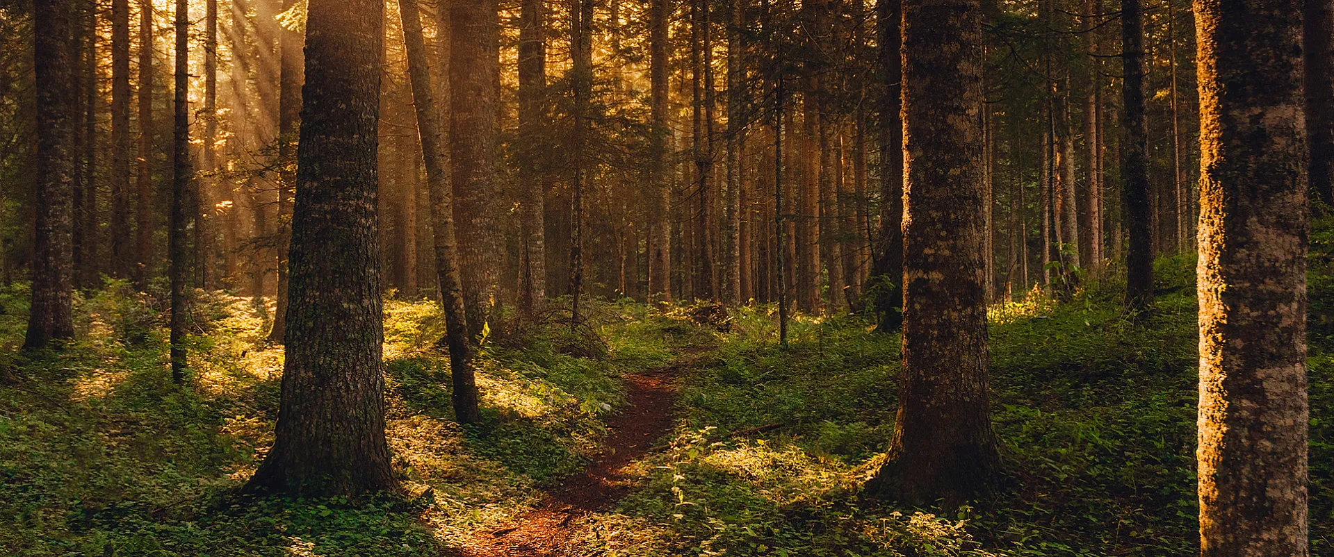 TKP Treatments Slider 2